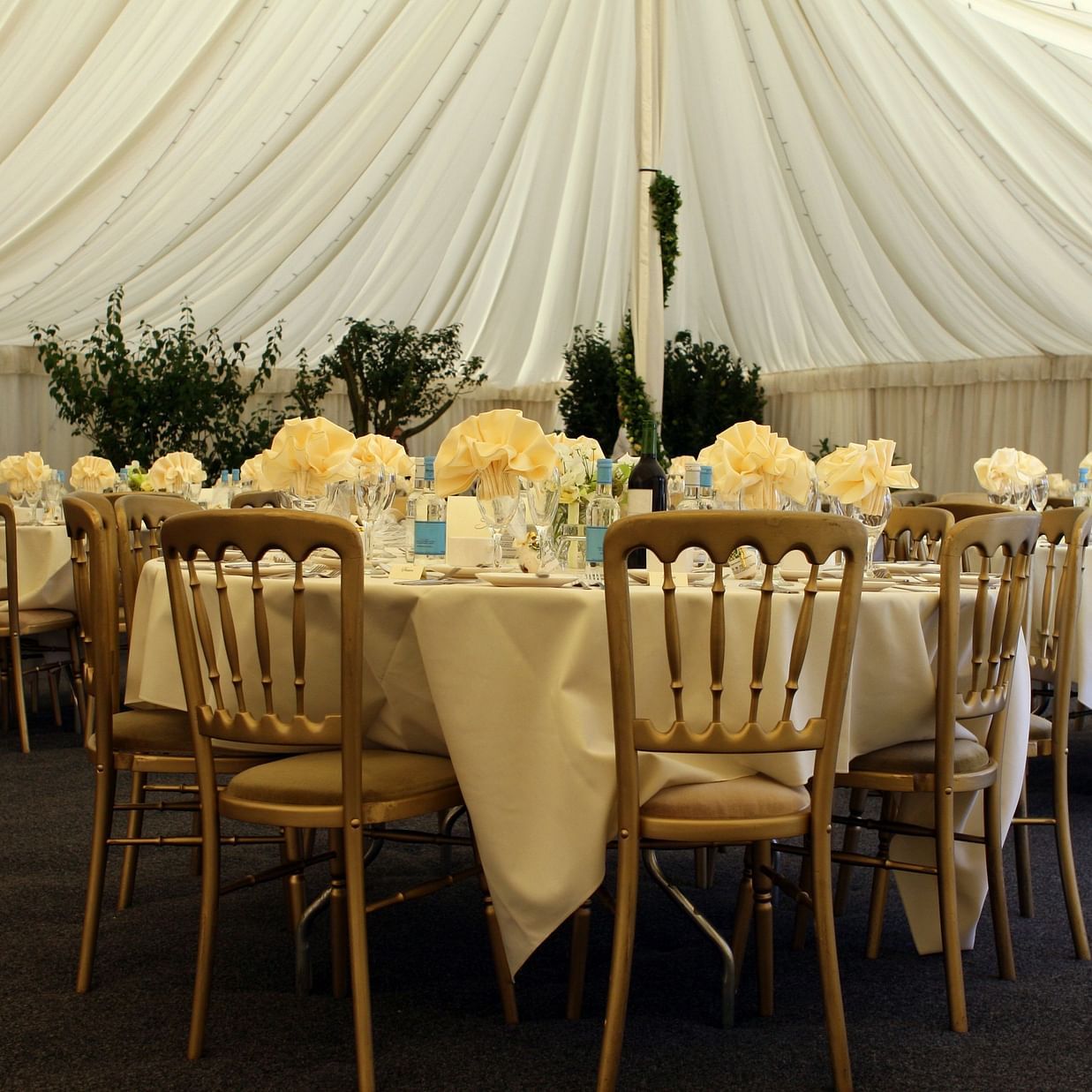 events, Hotel Hindusthan International, Hotel offers in Kolkata