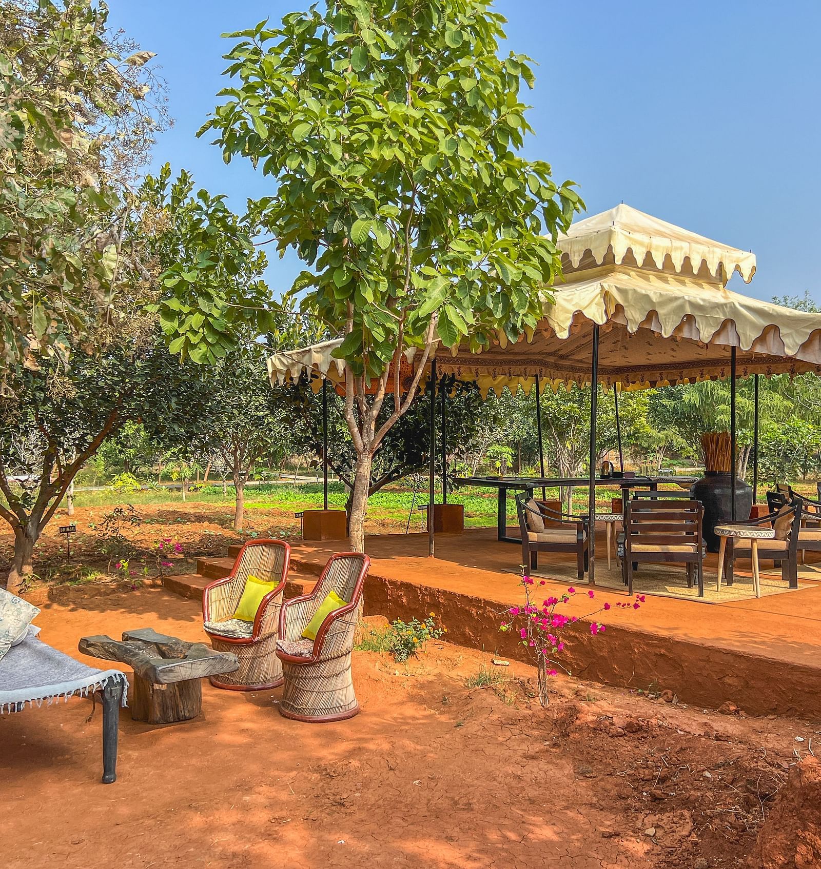 An image of an outdoor seating arrangement with trees surrounding the area - Utsav Camp Sariska