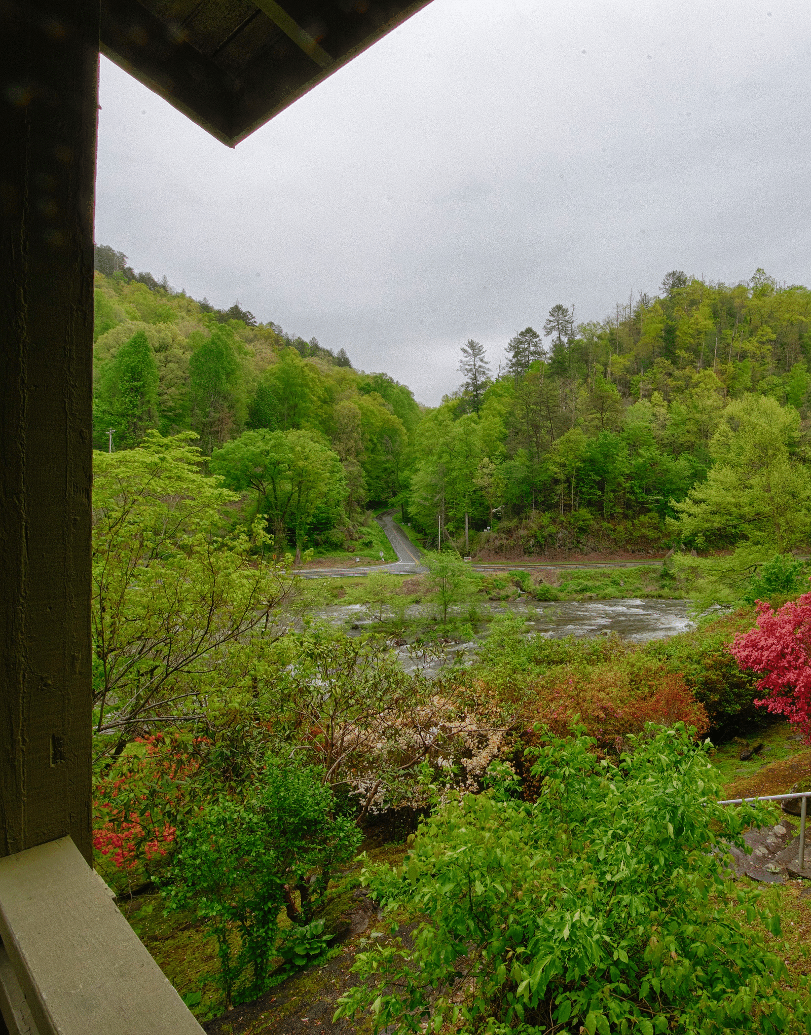 a beautiful scenery of the forest with an enchanting lake in the middle of it from the porch - Historic Tapoco Lodge