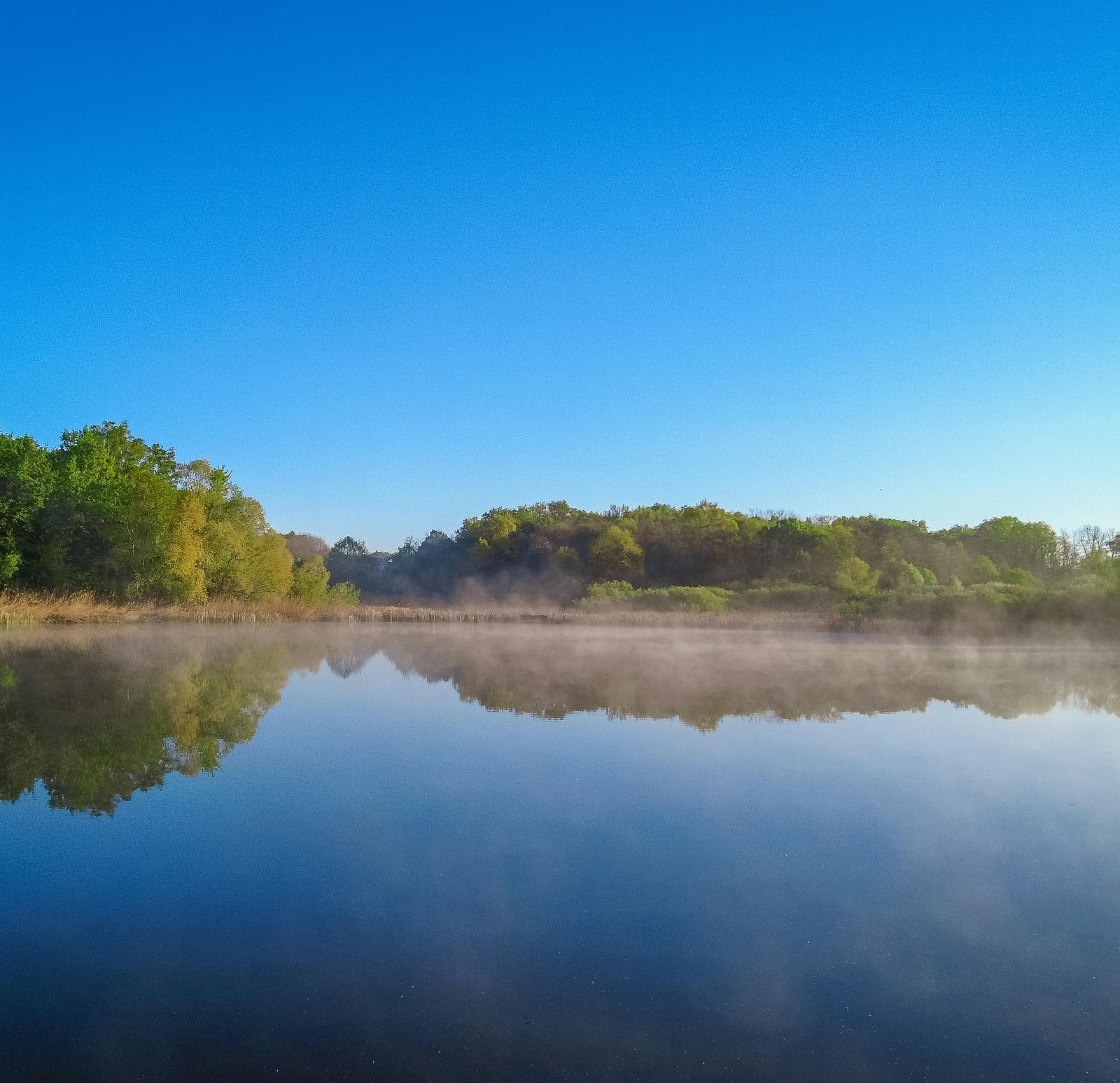 Scenic view of the lake surrounded by greenery during a bright sunny day.