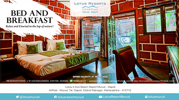 Bed Breakfast Package Website