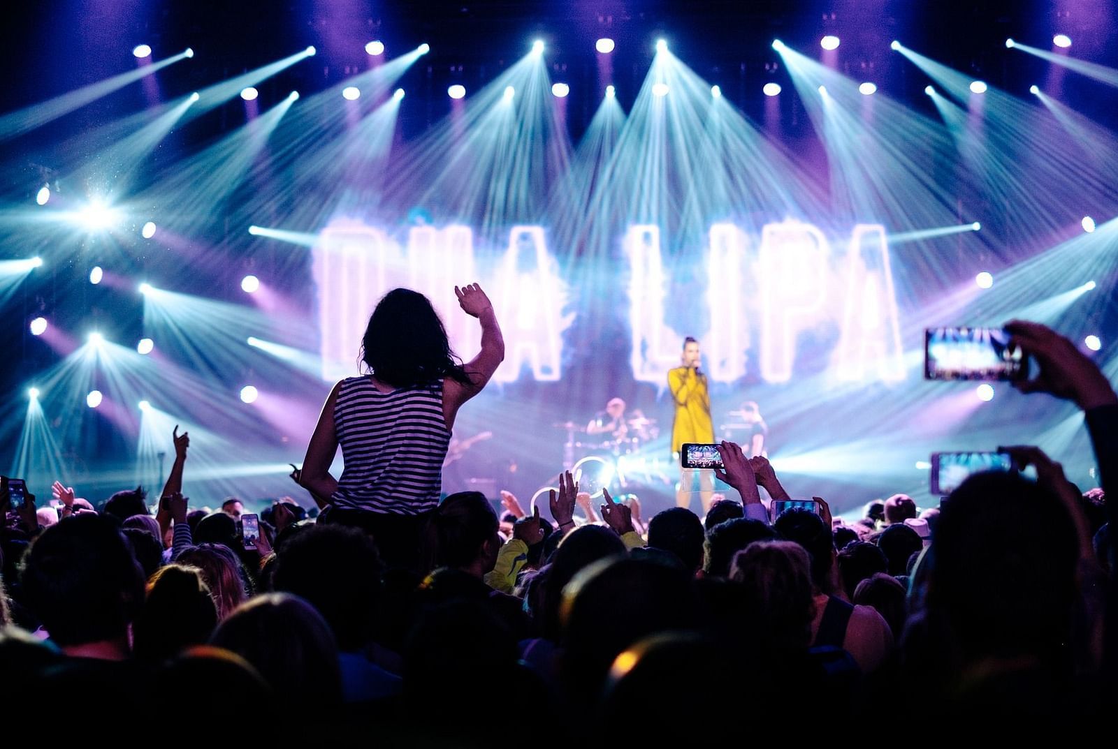 Crowd raving to a live concert