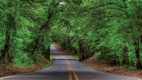 An empty road with trees on either side - Karma Lakelands.