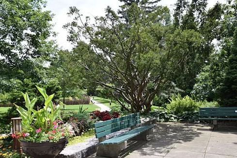 A shady garden corner with a large, sprawling tree, flowering plants, and green benches arranged around a paved path.