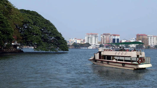 A passenger ferry boat cruises along a wide river, with a massive overhanging tree, a concrete shoreline, and distant city buildings in the background.