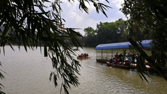 People rowing boats on a lake with trees in the background.