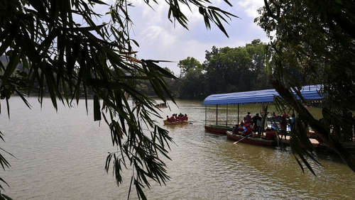 View of the Punganoor Lake between a trees branch, looking towards the boat jetty.