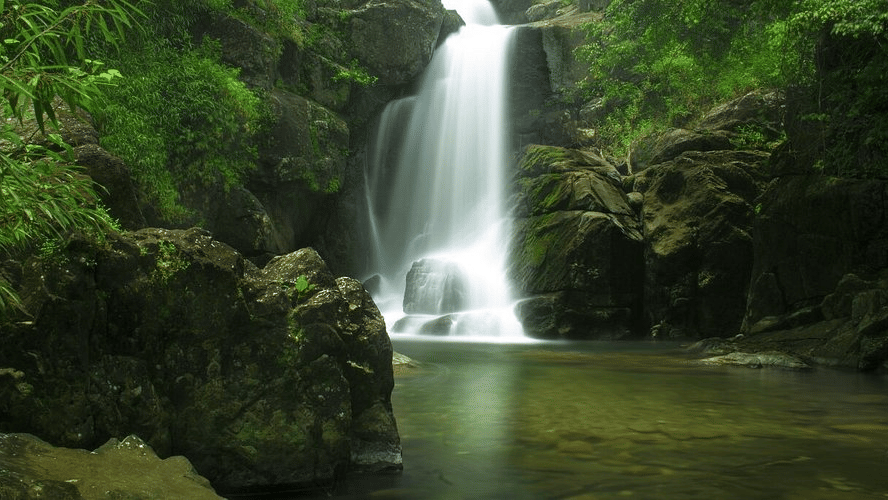dsc-0307-largejpg