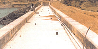 tighra3
