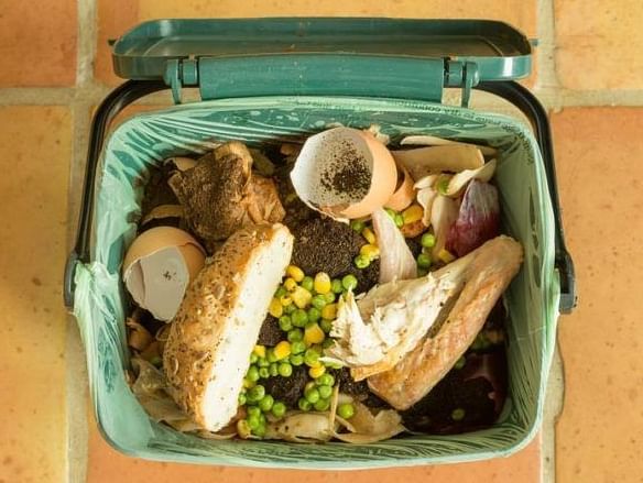 Food waste in a dustbin