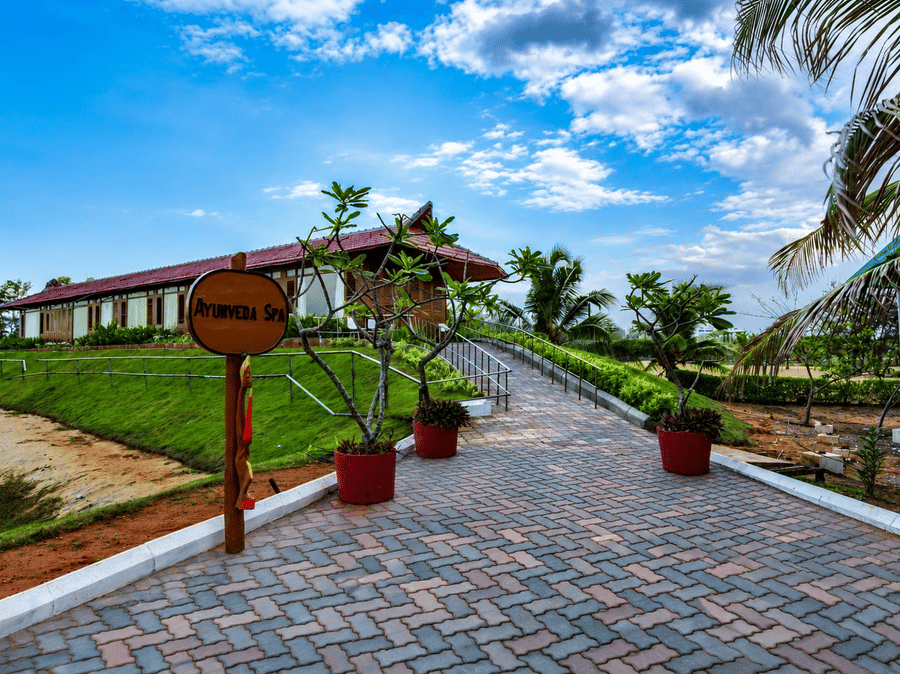 Pathway leading to the spa area lined with palm trees and decorative pots at Chariot Beach Resort, offering a serene and inviting approach.