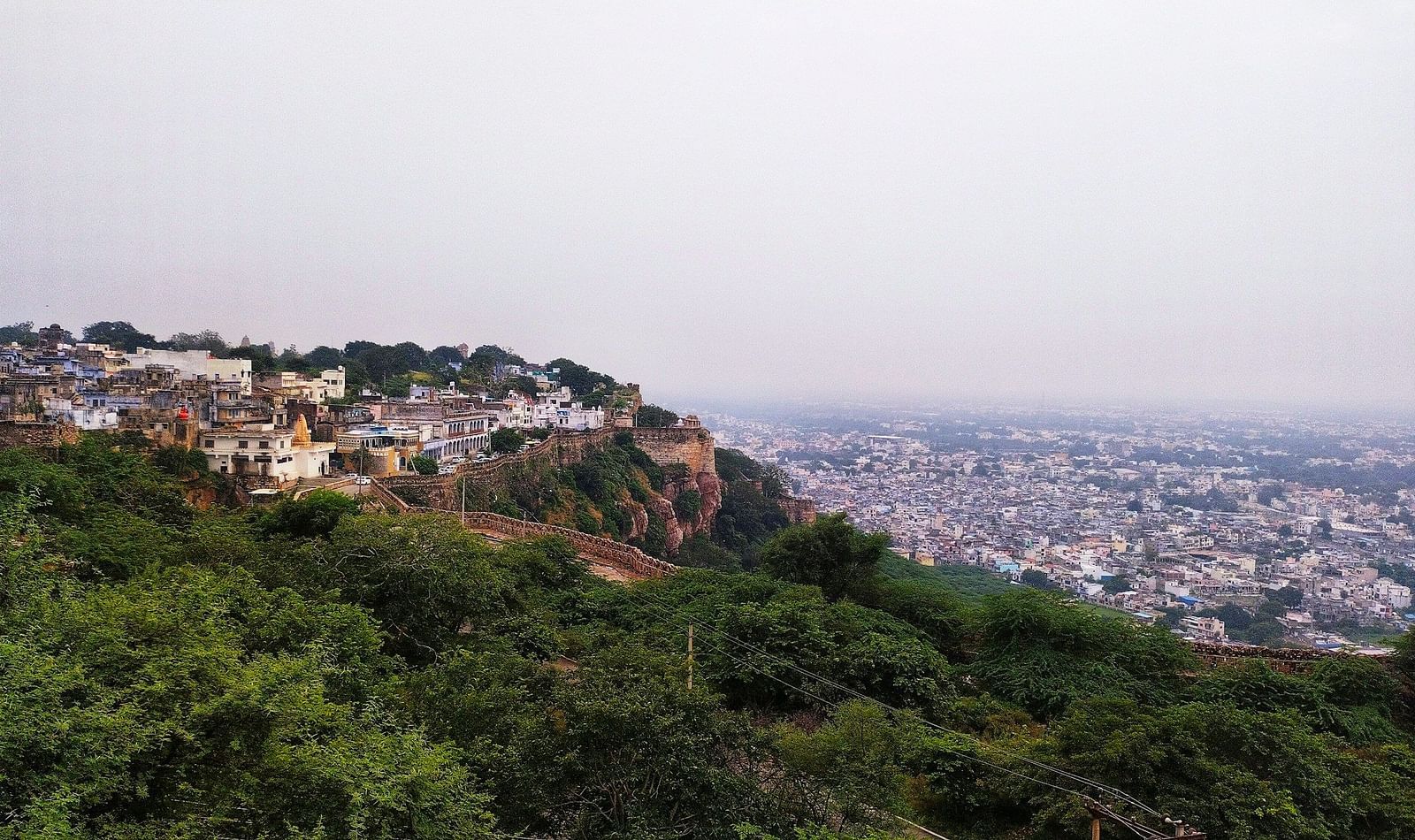 image of a city view from the mountains amidst lush greenery