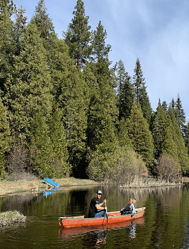 A person kayaking in a lake with pine trees in the backdrop.