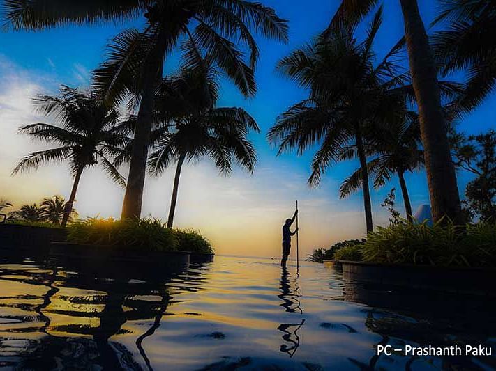 Aesthetic view from a swimming pool surrounded by coconut trees and multicolour hued sky in the background.