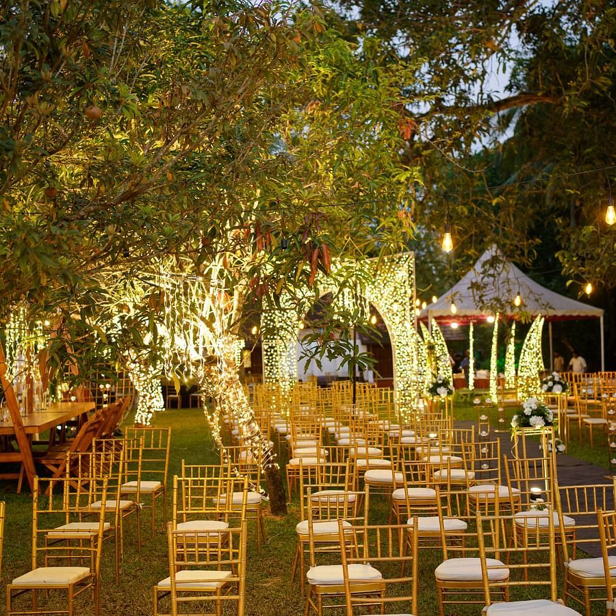 Wedding 2