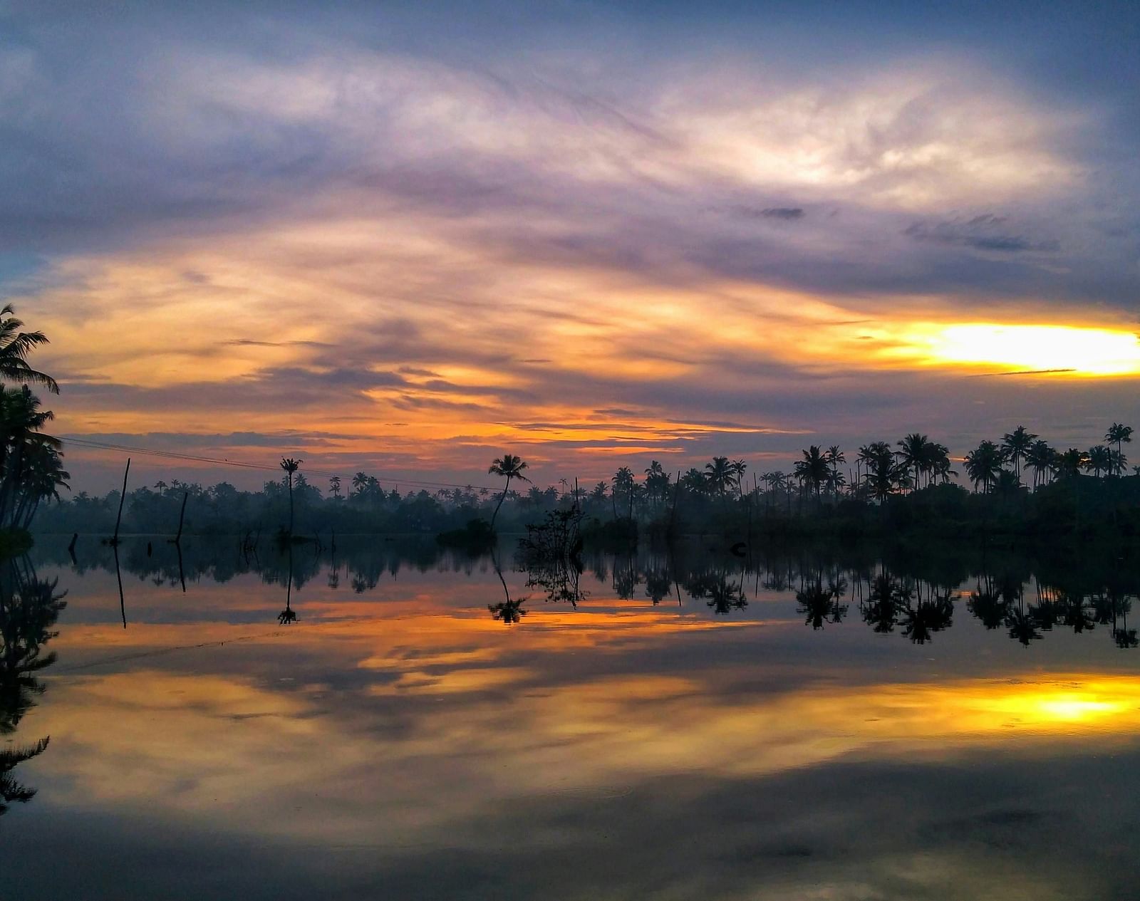 Trees surrounding a lake during golden hour