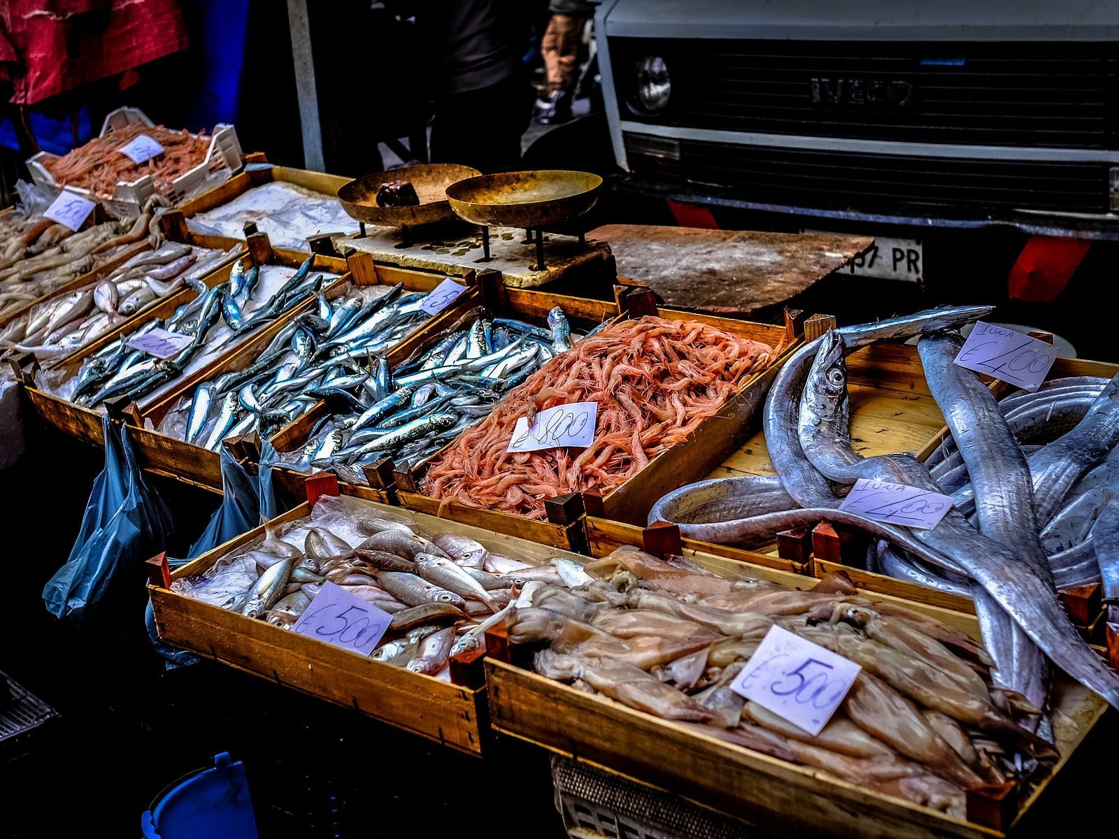 Fishes displayed in a fish shop