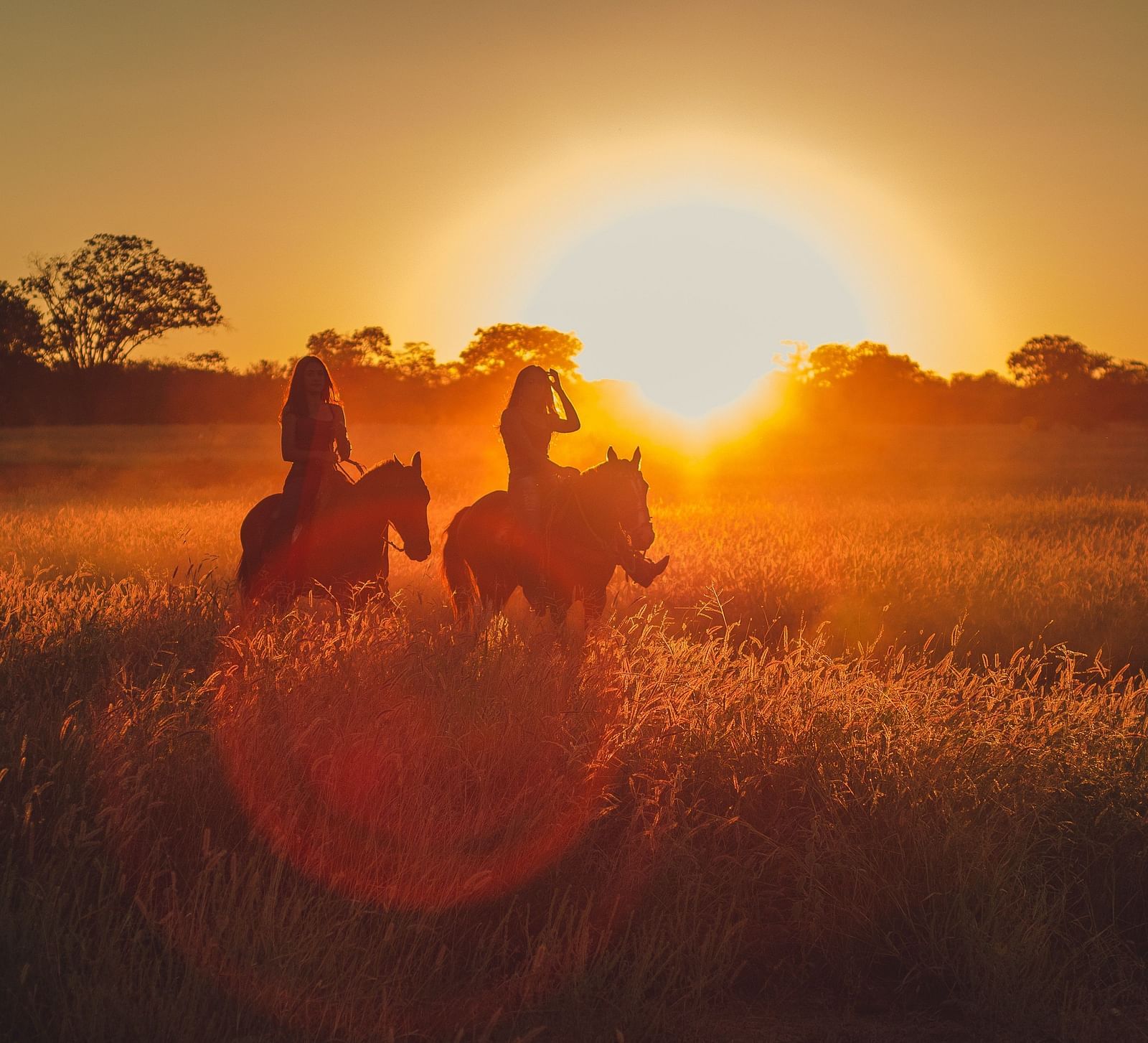 People walking their horses in a grassland during sunset