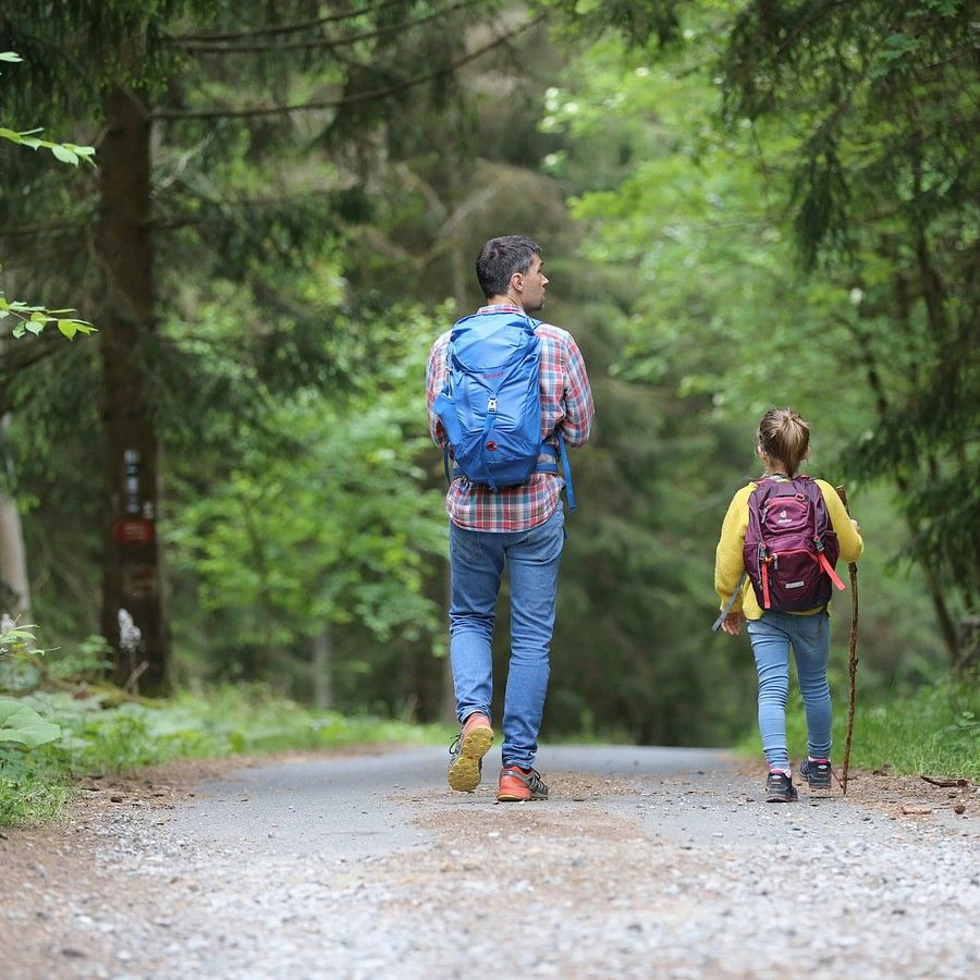 The image shows a man and a woman walking on a path in the woods. They are wearing casual outdoor clothing and walking on a trail surrounded by trees and plants in a forest or state park during the summer.
