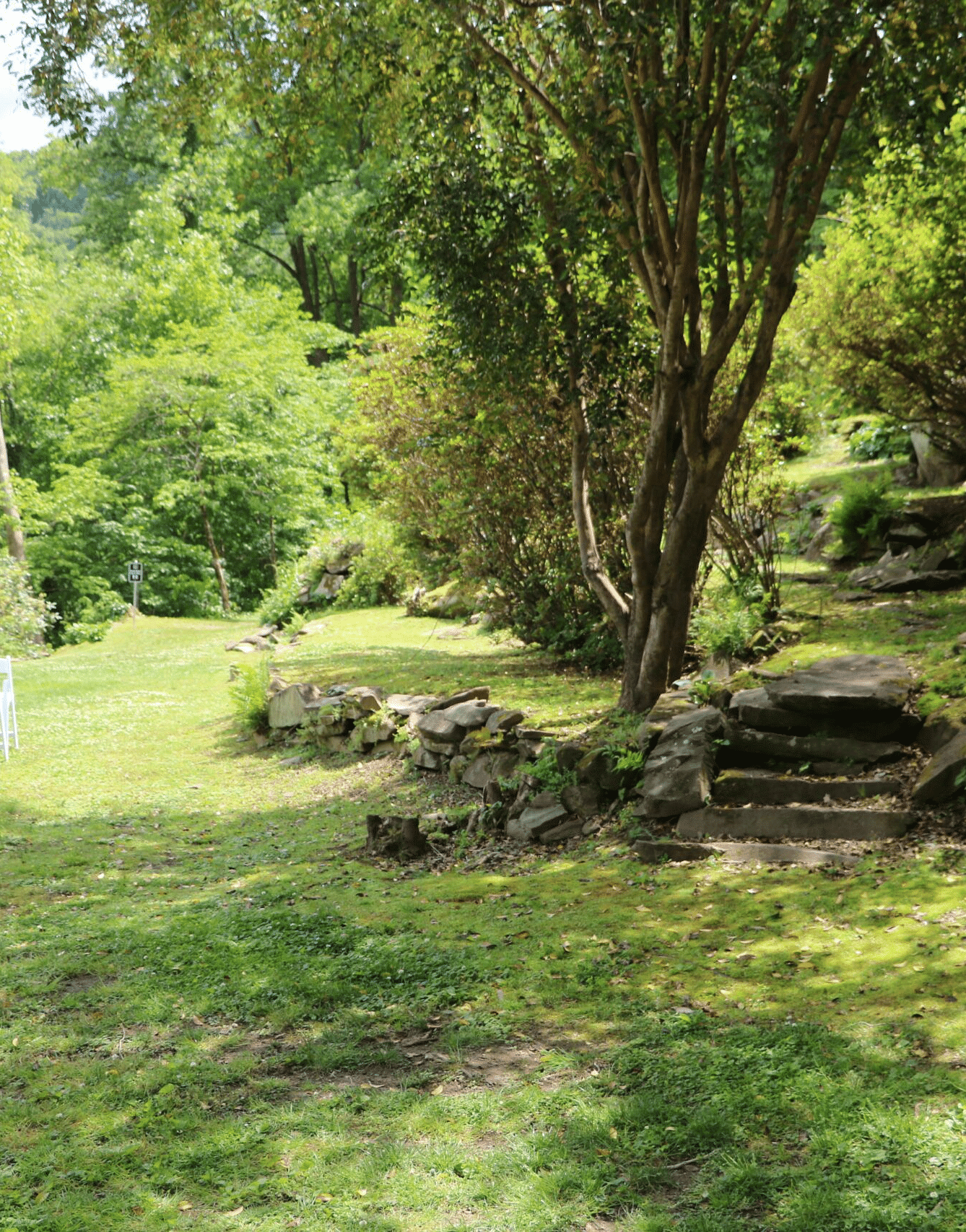 a lush green lawn with white folding chairs arranged in a corner besides the tall green trees at the Riverside Lawn - Historic Tapoco Lodge