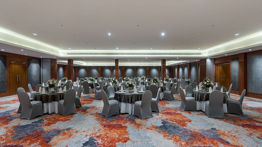 Mysore Hotel New Photographs (24)