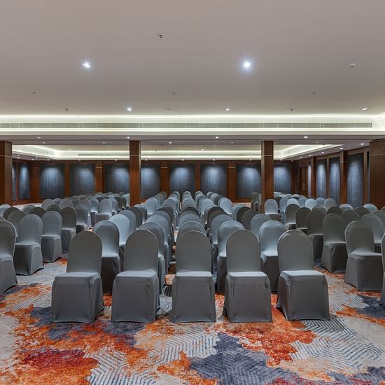 Mysore Hotel New Photographs (32)