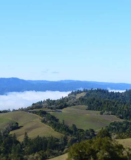 The bird's eye view of the anderson valley featuring towering trees and vast green fields
