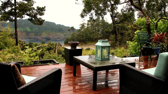 A deck with couches, a teapoy and surrounded by lush greenery - Brewery Gulch Inn & Spa