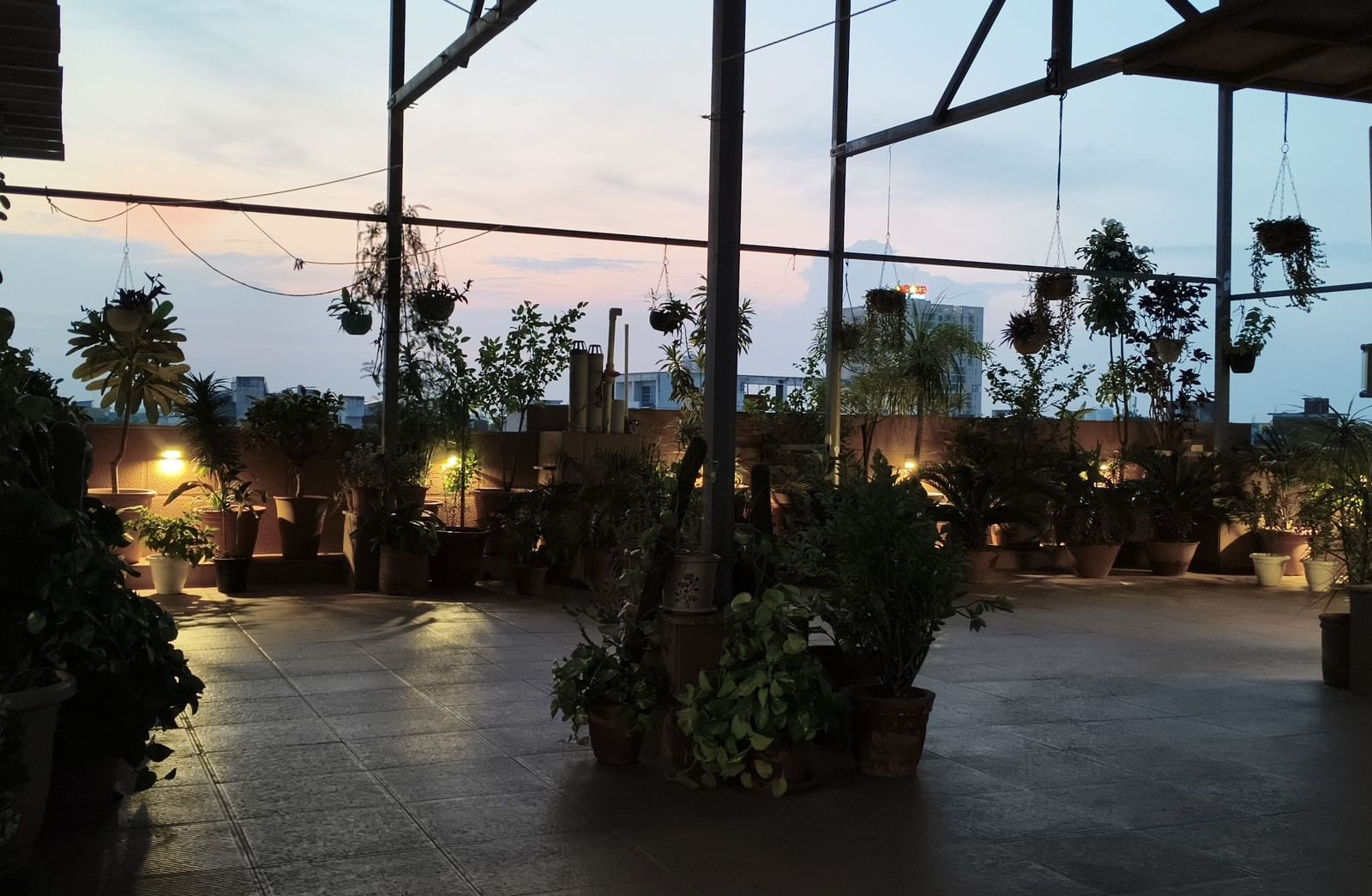  A view of a rooftop terrace garden with lush potted plants and soft evening lighting under a dark sky.