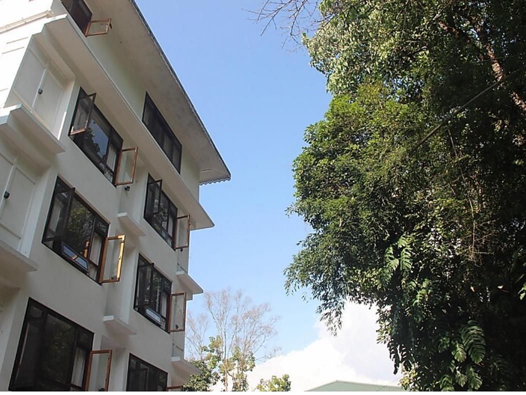 Facade view with a tree oppposite the hotel - Ecotel Chiminda