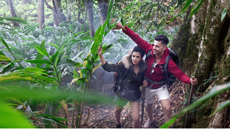 Couples trekking through the lush greenery of Munnar