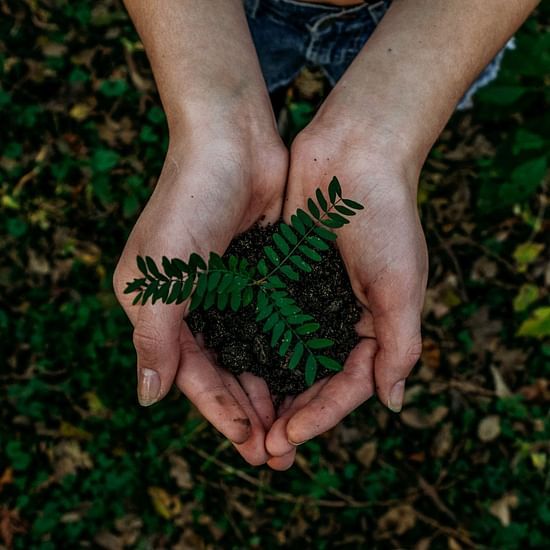 sustainable