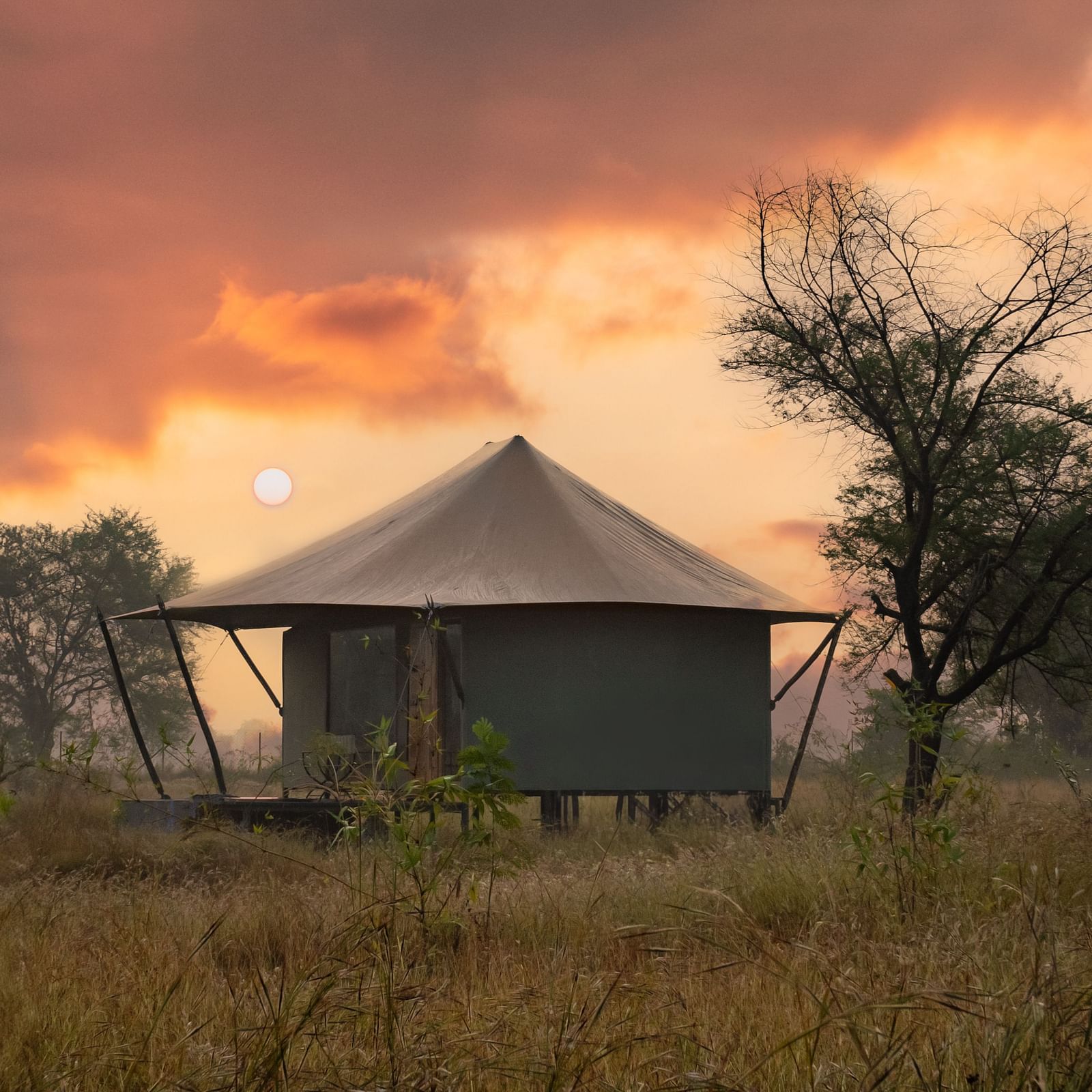 View of a hut during dusk amongst greenery at Trees N Tigers, Tadoba.