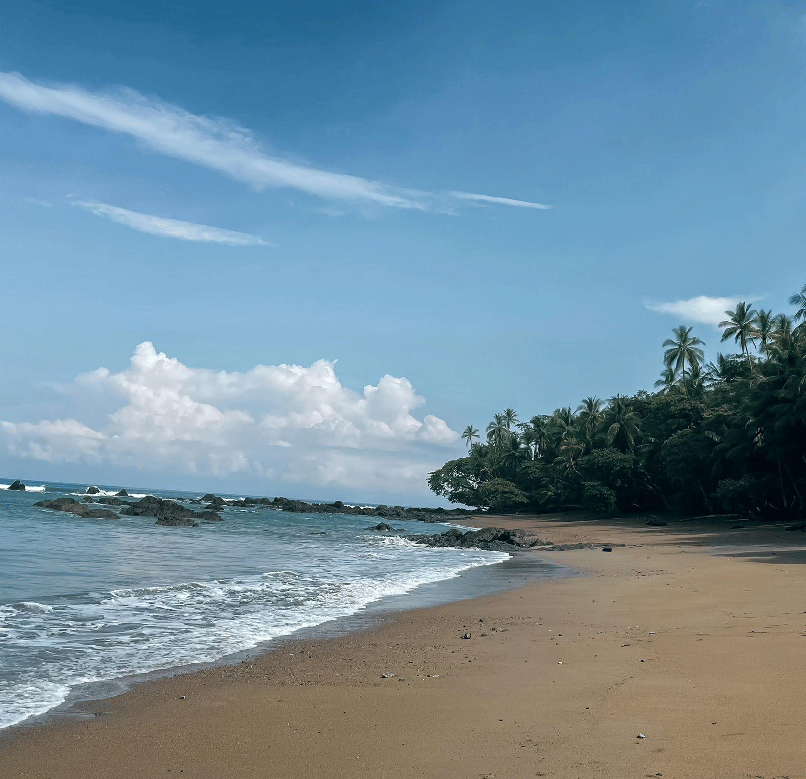 A serene beach with a calm sea and trees along the shoreline.