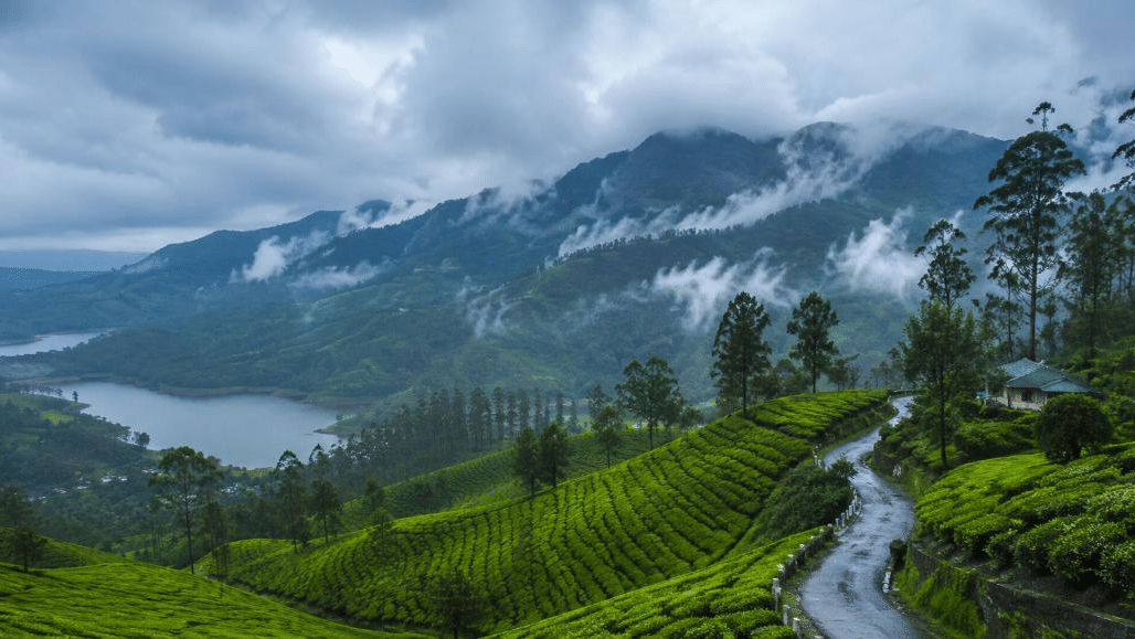 monsoon in munnar