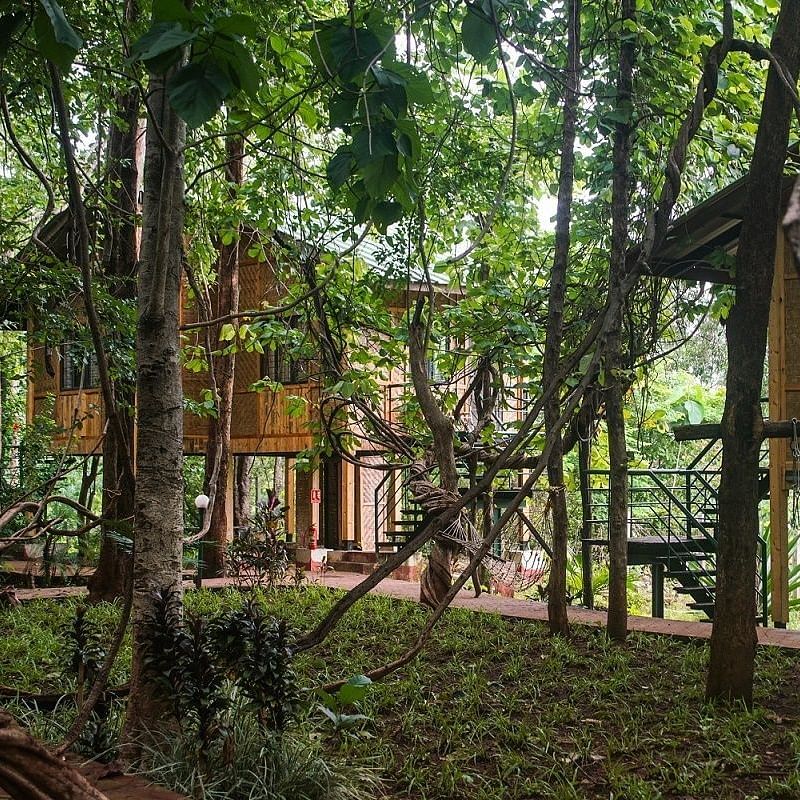 Tree Top AC Room - Sajan -Tree Top AC Rooms at Nature Trails Sajan offering a unique stay experience with elevated views amidst lush greenery.