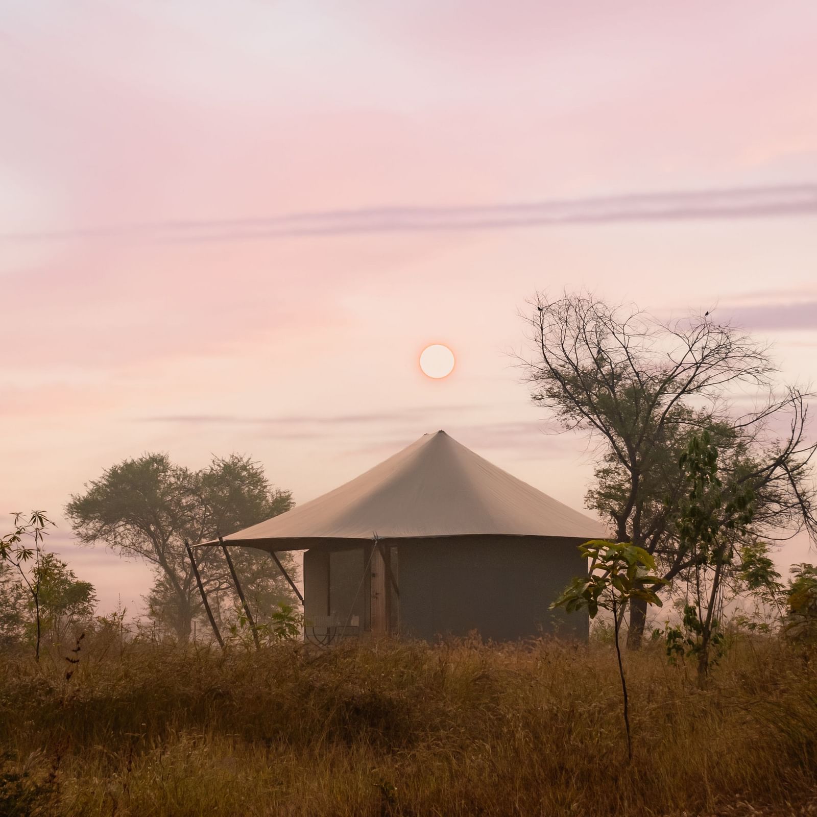 View of a hut during dusk amongst greenery at Trees N Tigers, Tadoba.