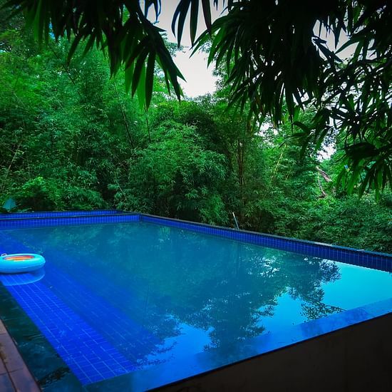 Swimming Pool area surrounded by greenery 