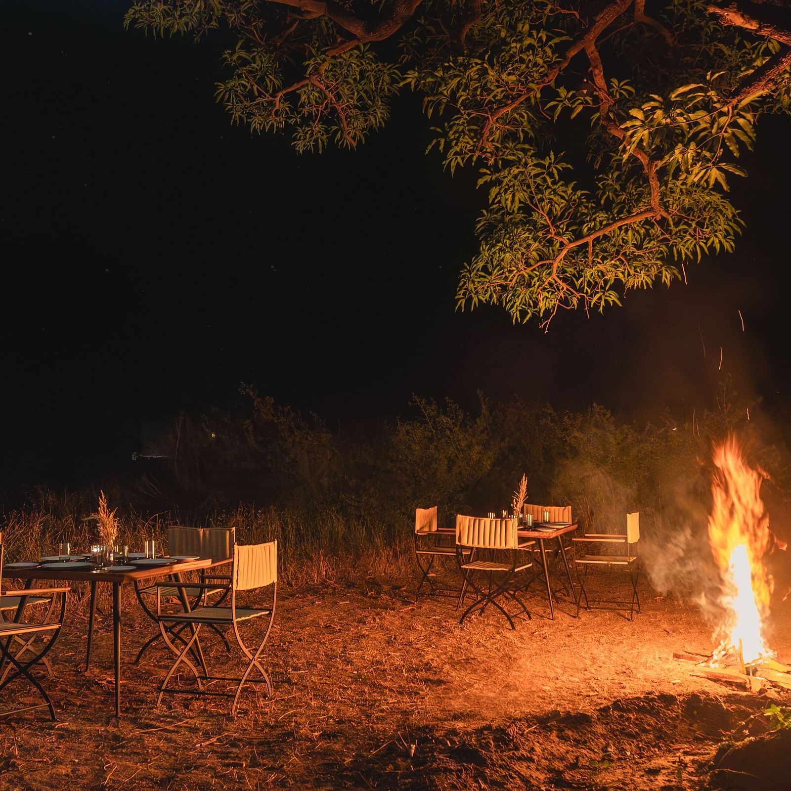 A bonfire surrounded by dining setups at Trees N Tigers, Tadoba.