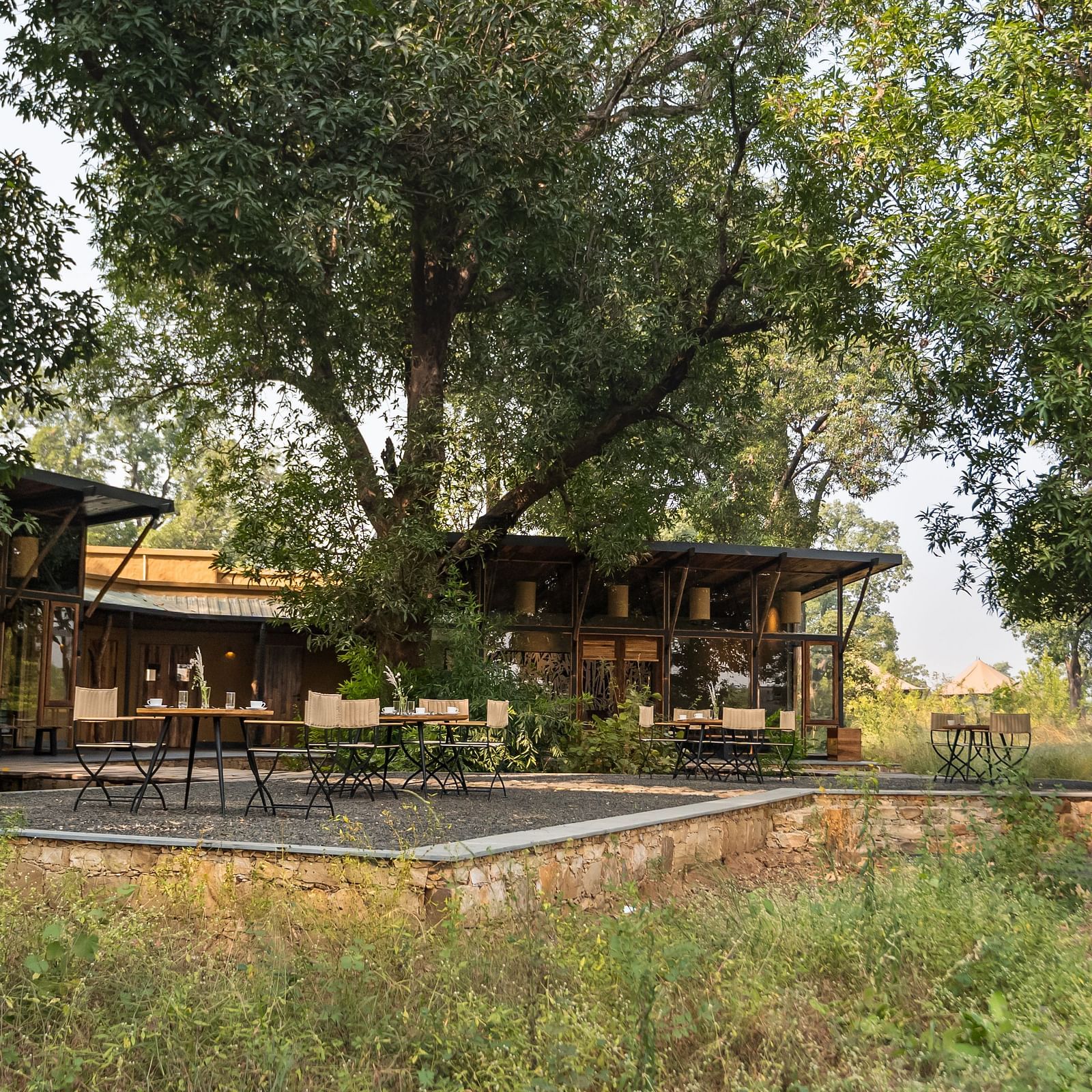 A hut amongst the greenery at Trees N Tigers, Tadoba.