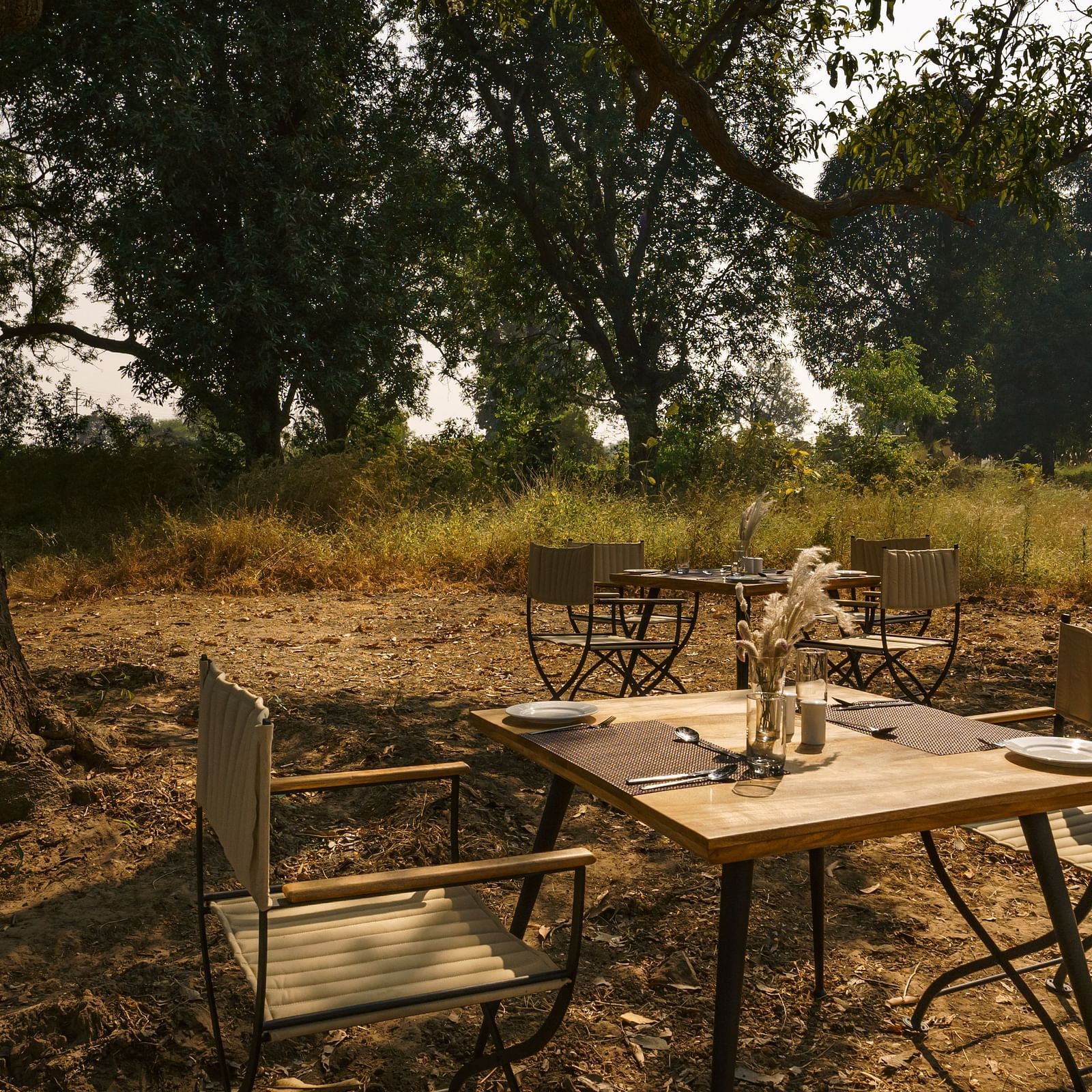 Outdoor dining among the trees at Trees N Tigers, Tadoba.