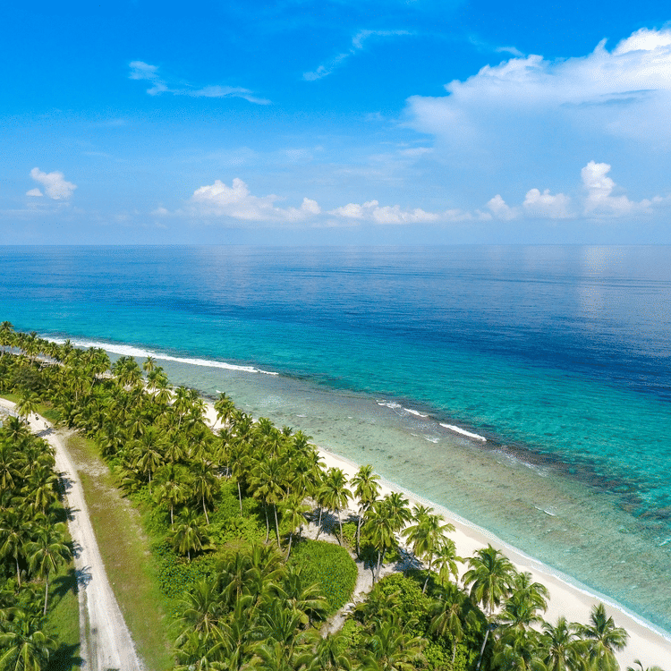 an image of a beach with clear blue waters