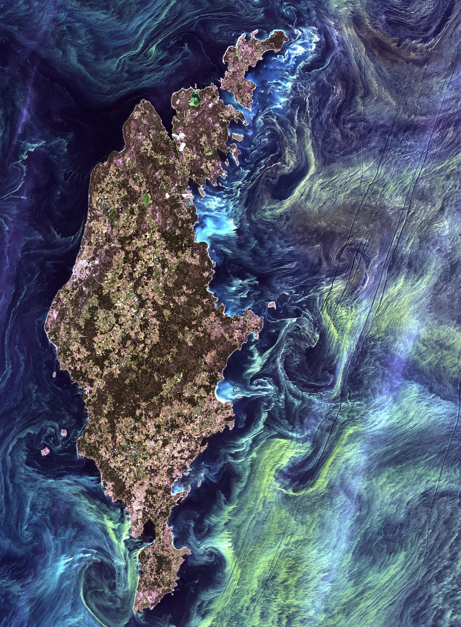 aerial view of Phytoplankton bioluminescence next to an island