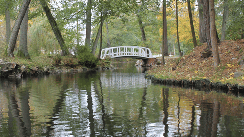 White bridge inbetween the lake