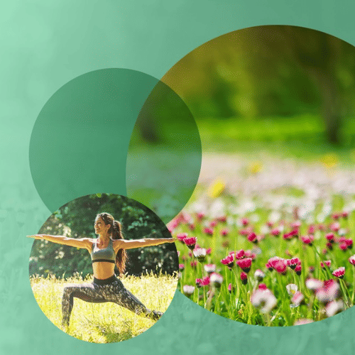 A banner reads: Experience Natures magic with our Wildflower Nature Trail Challenge, featuring a person doing yoga and a field of wildflowers at YO1 Longevity & Health Resorts, Catskills