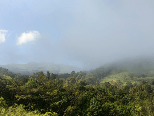 Lush green hills and dense forest partially covered in mist under a clear sky with two small clouds.
