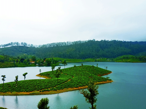 An aerial view of Sholayar Dam with a small island in the centre, monsoon clouds on the right hand side and trees in the distance. 