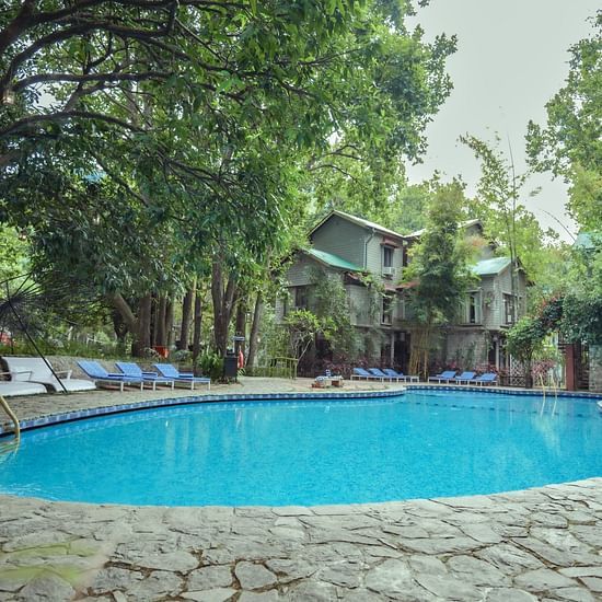 A swimming pool with trees and buildings in the background.