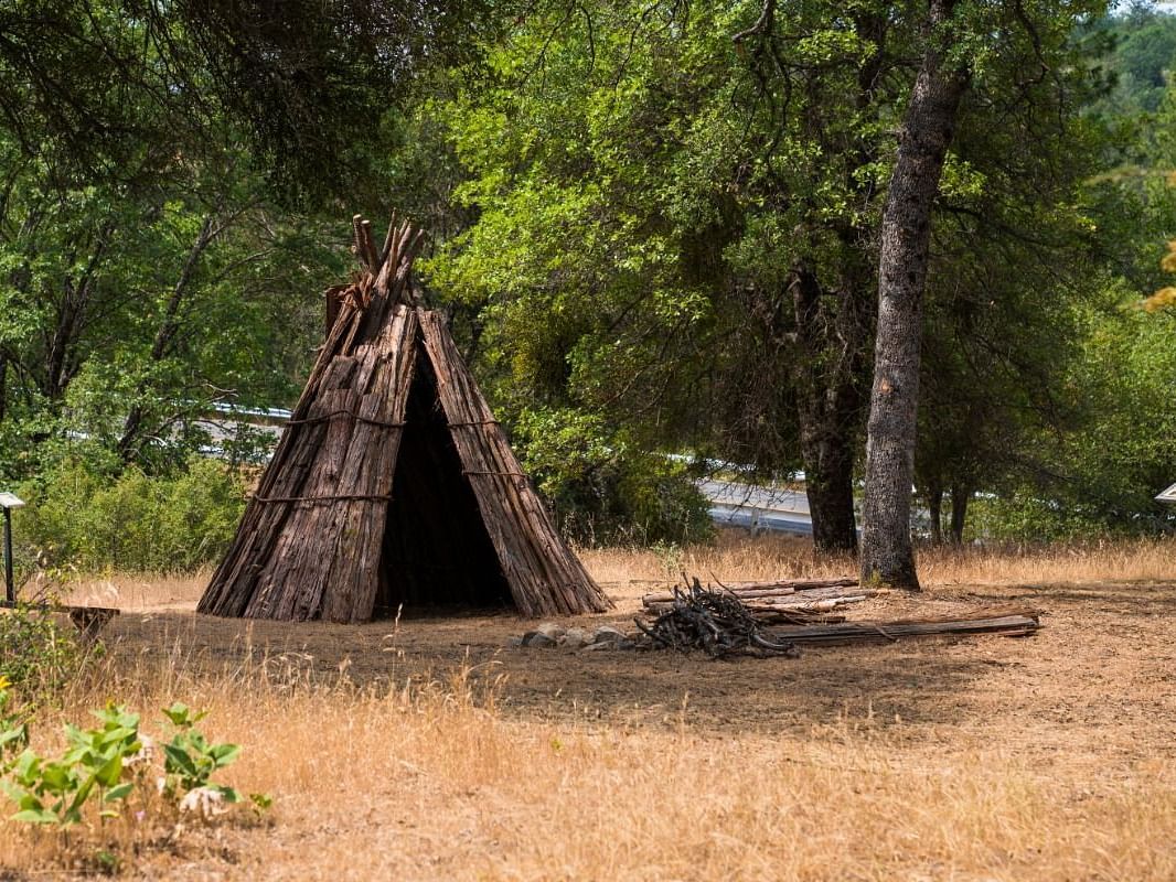 a tepee in a clearing in a forest, surrounded by timber.