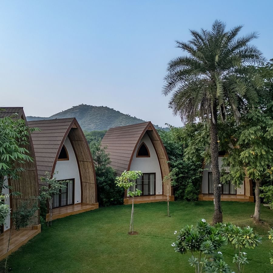 An image of a hut style villas amidst the palm trees in a resort - Ananta Spa and Resort, Ajabgarh